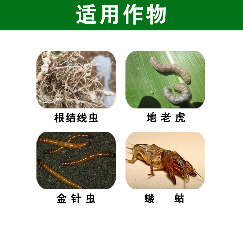 阿维噻唑膦根结线虫金针虫地老虎蛴螬蝼蛄花卉园林