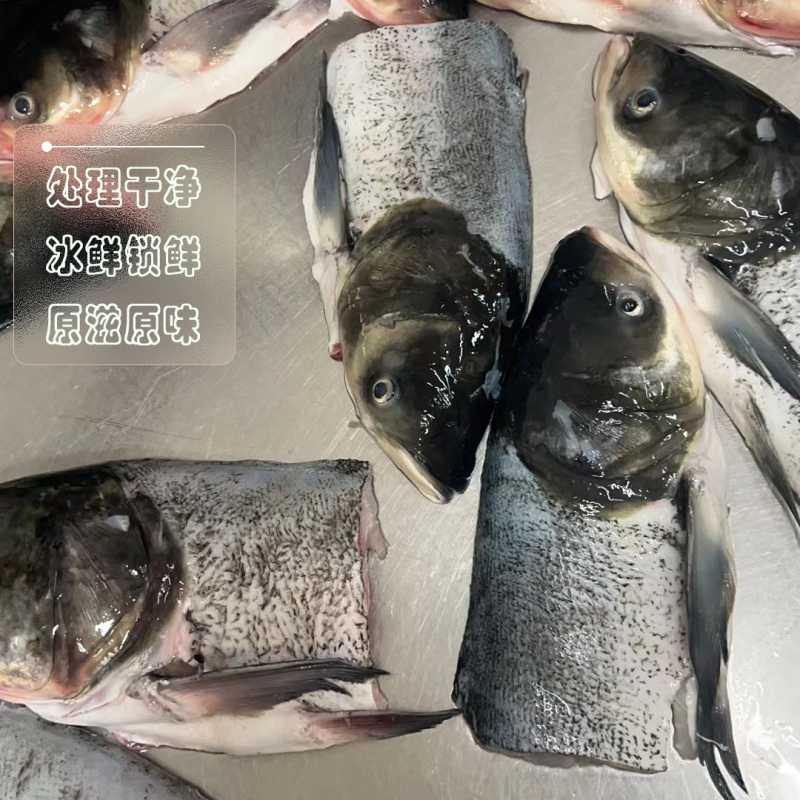 千岛湖生态胖头鱼花鲢鳙鱼鱼头现杀冰鲜每片400-800g