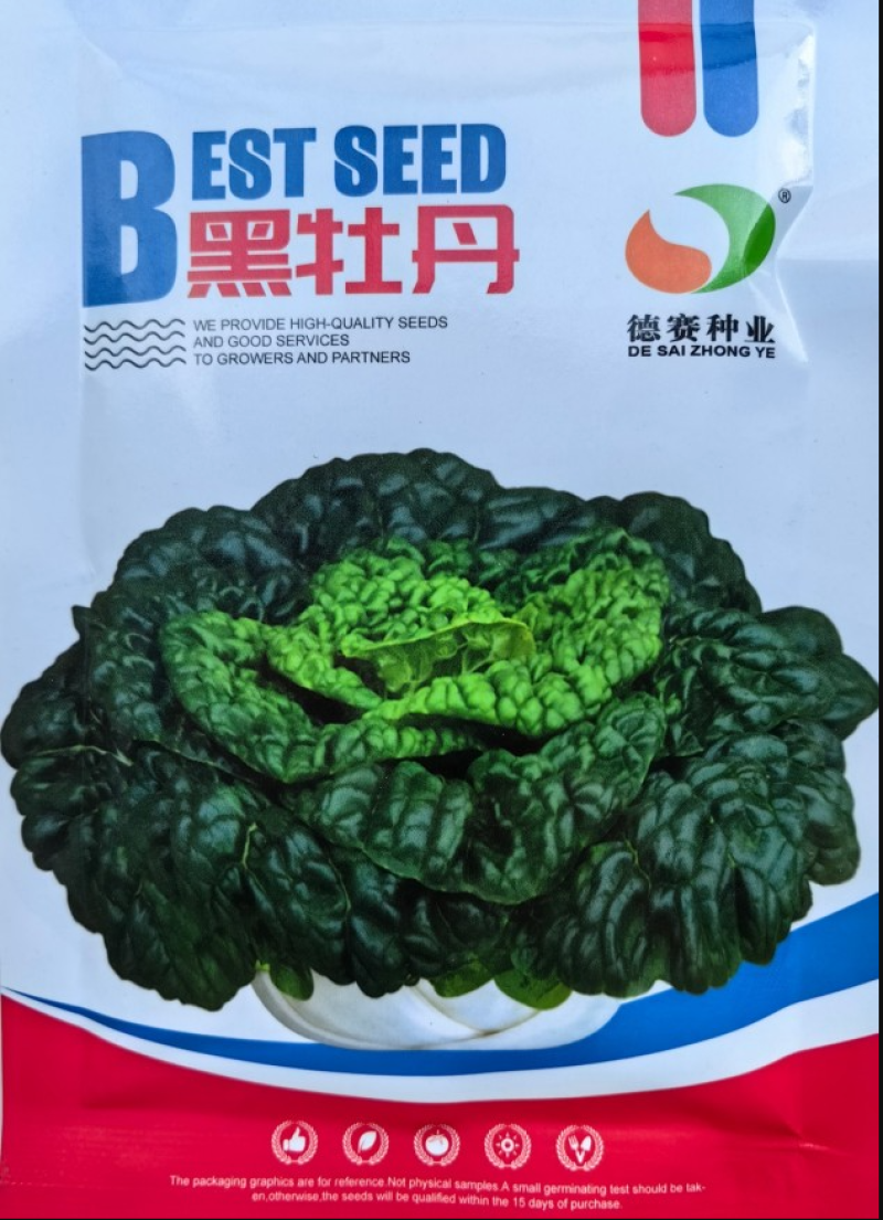 黑牡丹乌塌菜种子杂交黑心乌种子秋播耐寒越冬小白菜阳台蔬菜