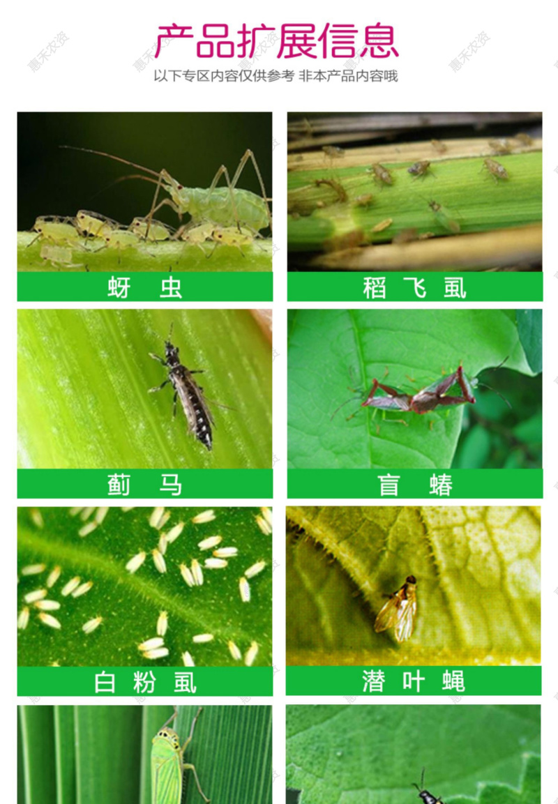 百农思达吡高克70%吡虫啉蔬菜果树瓜果蓟马蚜虫飞虱腻虫黑