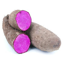 江西紫山药5斤新鲜现挖蔬菜紫色脚板薯紫玉淮山毛薯一件代发