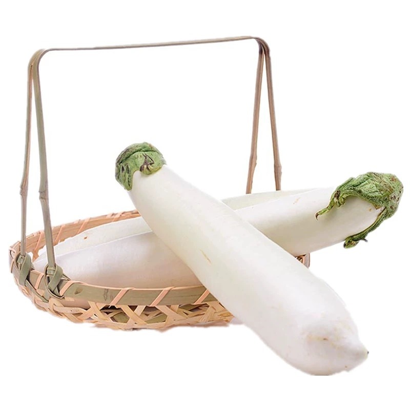 白茄子苗，靓品