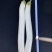 白茄子苗，靓品