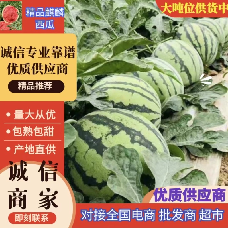 山西西瓜精品麒麟瓜大量上货包熟包甜量大从优全国发货