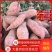 龙九红薯大量上市电商品质全国代发产地供货电话洽谈