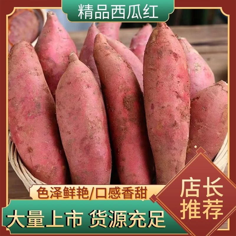 河南开封沙地红薯西瓜红蜜薯龙九济薯33产地直发