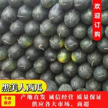 现摘现卖，口感好，糖度高，耐运输，产地直发，每天供应，