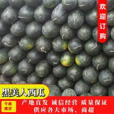 现摘现卖，口感好，糖度高，耐运输，产地直发，每天供应，