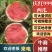 内蒙古精庆红999地雷瓜大量上市诚信经营远程看货代发全国