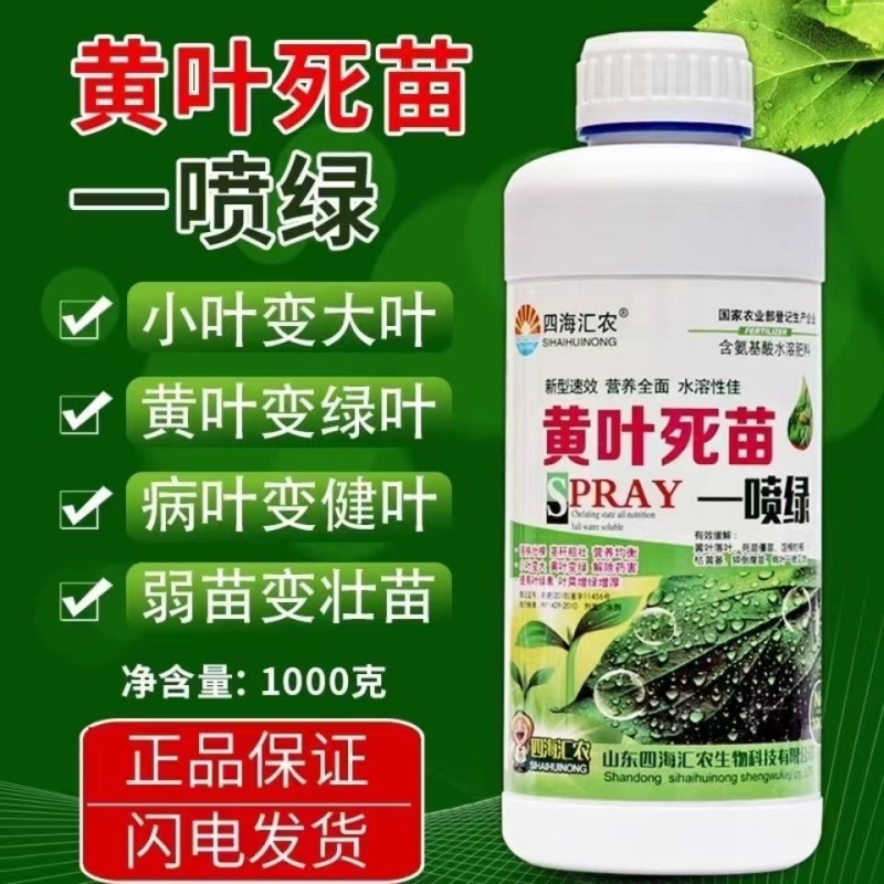 黄叶死苗一喷绿氨基酸叶面肥