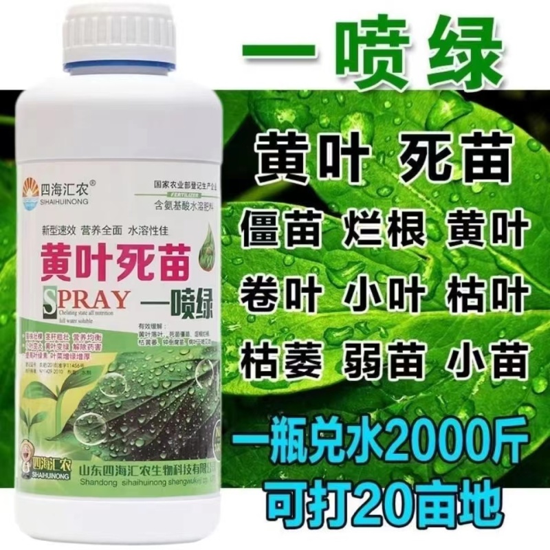 黄叶死苗一喷绿氨基酸叶面肥