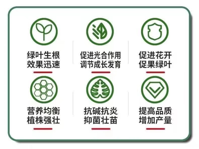 黄叶死苗一喷绿氨基酸叶面肥