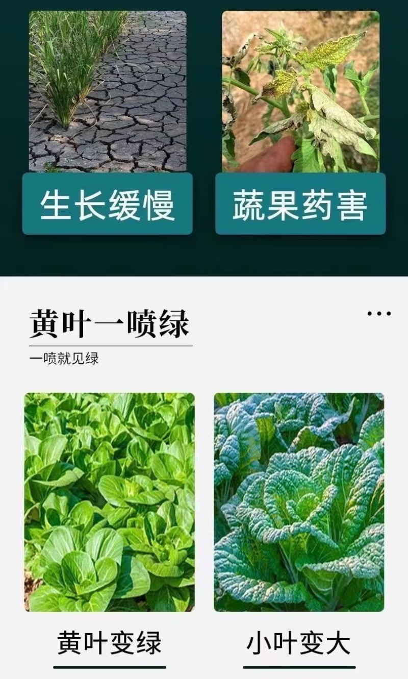 黄叶死苗一喷绿氨基酸叶面肥