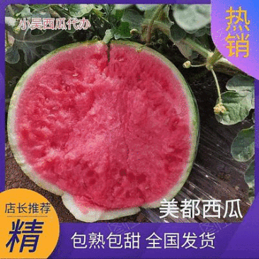【精品】广东美都西瓜产地直发现摘现发货源充足高端精品