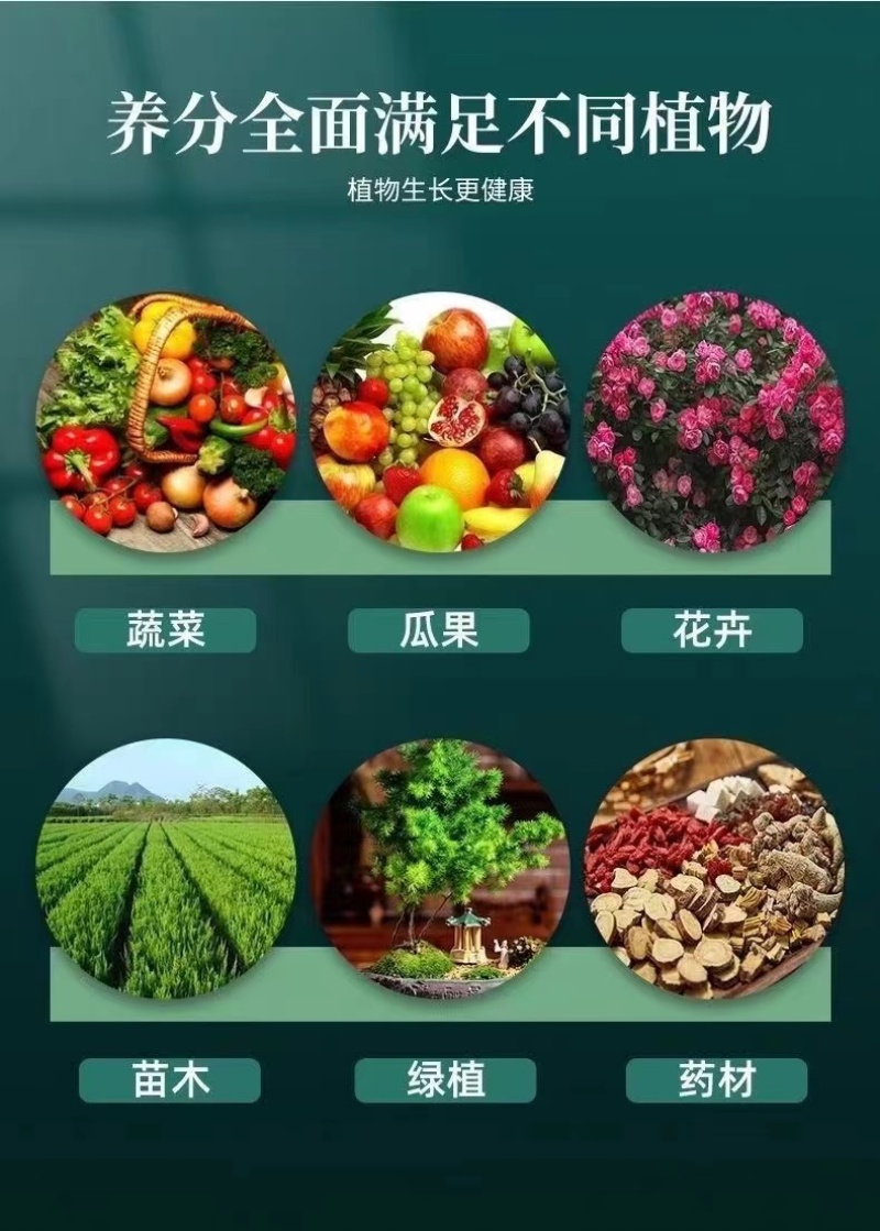 黄叶死苗一喷绿氨基酸叶面肥