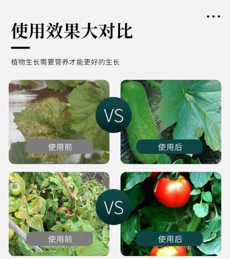 黄叶死苗一喷绿氨基酸叶面肥