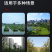移动式树木粉碎机手推式园林枝条粉碎机物业绿化树枝粉碎