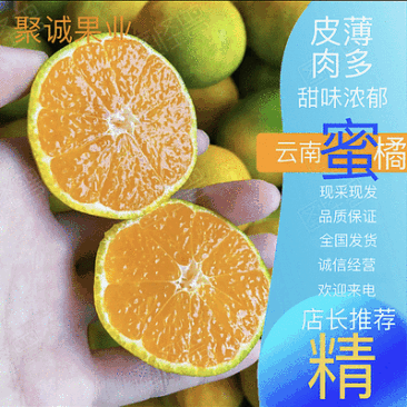 高山早熟柑桔蜜橘大量上市出货中，欢迎新老客户前来咨询