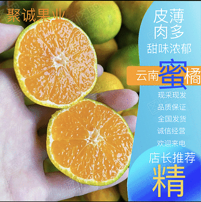 高山早熟柑桔蜜橘大量上市出货中，欢迎新老客户前来咨询
