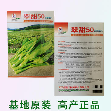基地翠甜菜苔50天70天早熟白菜苔种子耐热抗热小白菜苔种