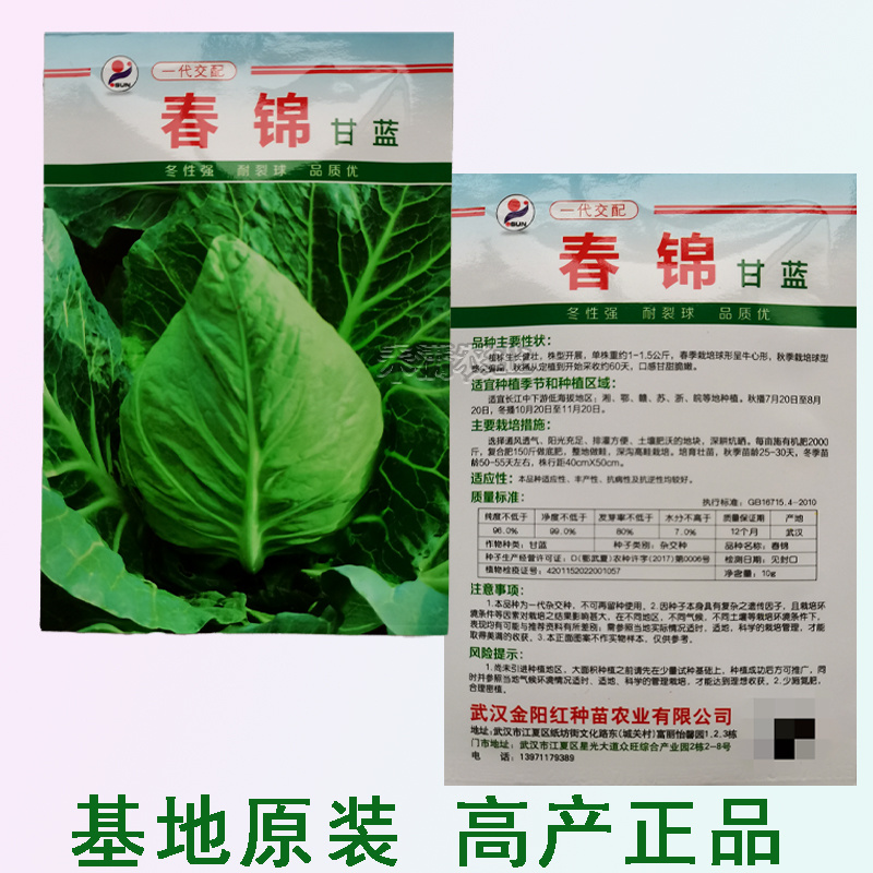 包菜种籽牛心甘蓝种子春丰甘兰春秋包菜夏秋四季绿蔬菜种孑春