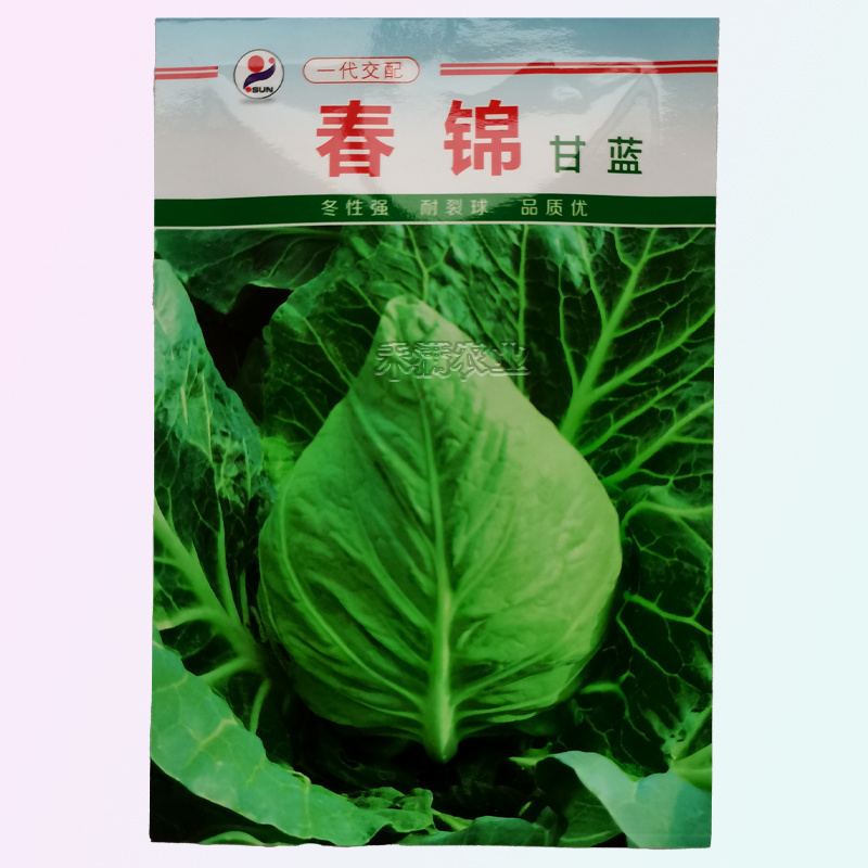 包菜种籽牛心甘蓝种子春丰甘兰春秋包菜夏秋四季绿蔬菜种孑春