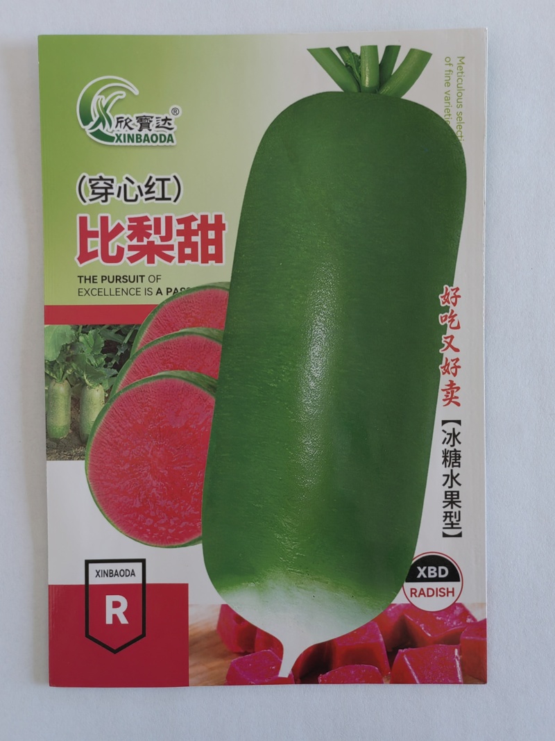 比梨甜（穿心红）萝卜种子皮脆绿色肉中心呈红色