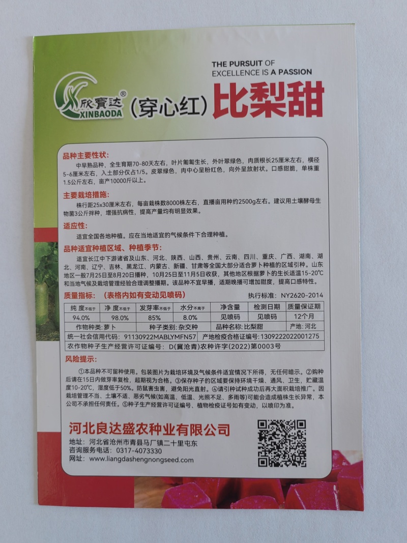 比梨甜（穿心红）萝卜种子皮脆绿色肉中心呈红色