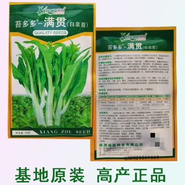 基地优品白菜苔小白菜苔种子抗病高产耐热抗寒10g