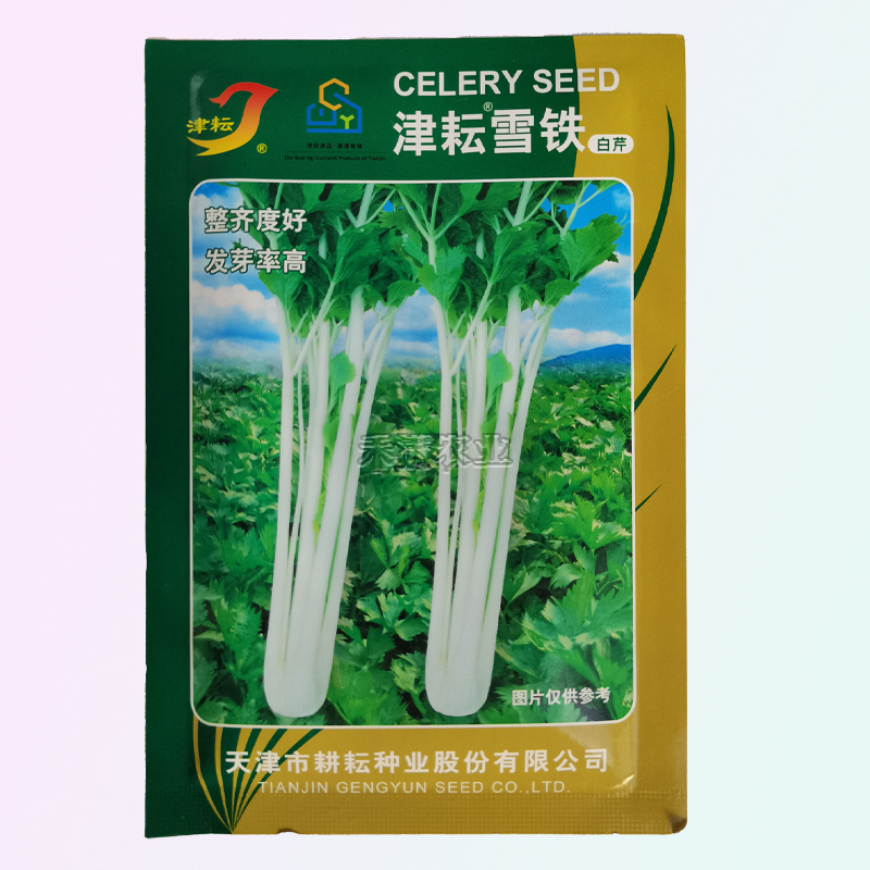 铁芹种籽津耘白芹种子10克白柄实心脆嫩好吃特色芹菜种子