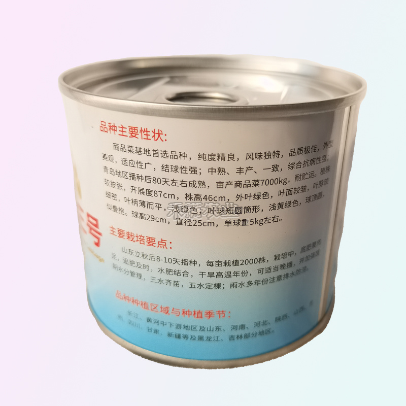 基地高端改良青杂三号大白菜种子耐寒秋冬储黄心庭院白菜蔬菜