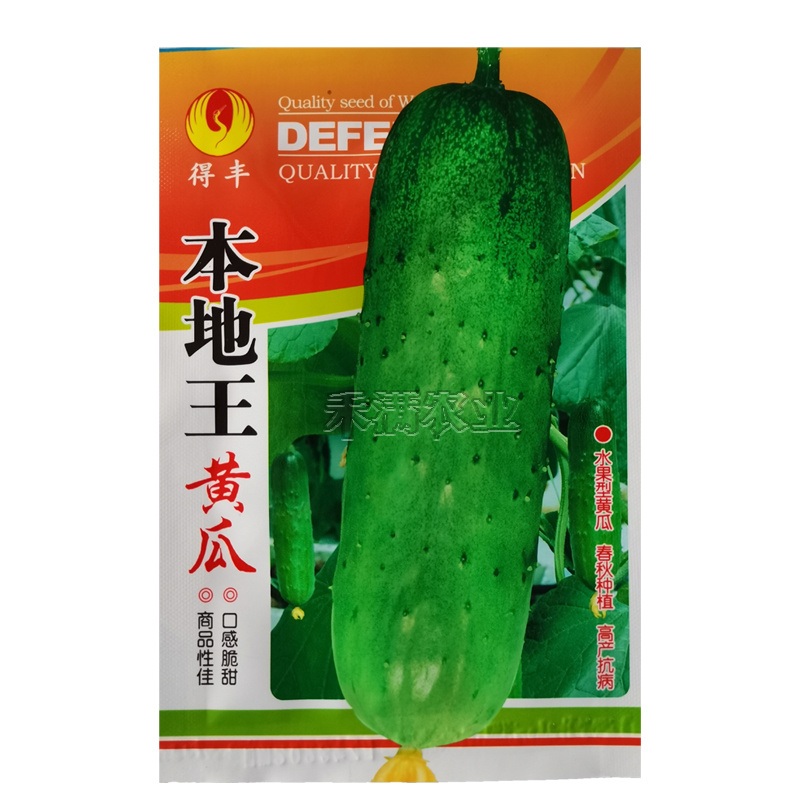 本地王黄瓜种子春秋露地栽四季盆栽大田小黄瓜旱黄瓜蔬菜种籽