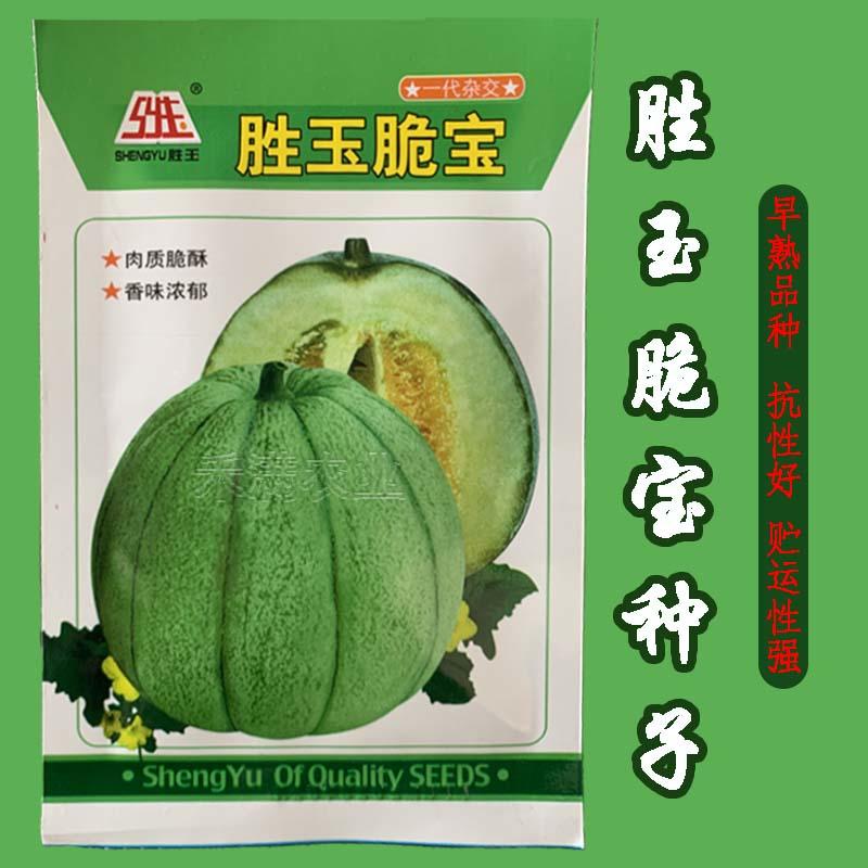 绿宝石种子甜瓜种籽香瓜种子超甜酥脆香瓜种籽高产甜瓜种子