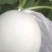 大棚甜瓜玉姑大量上市皮毛亮口头甜种植面积大