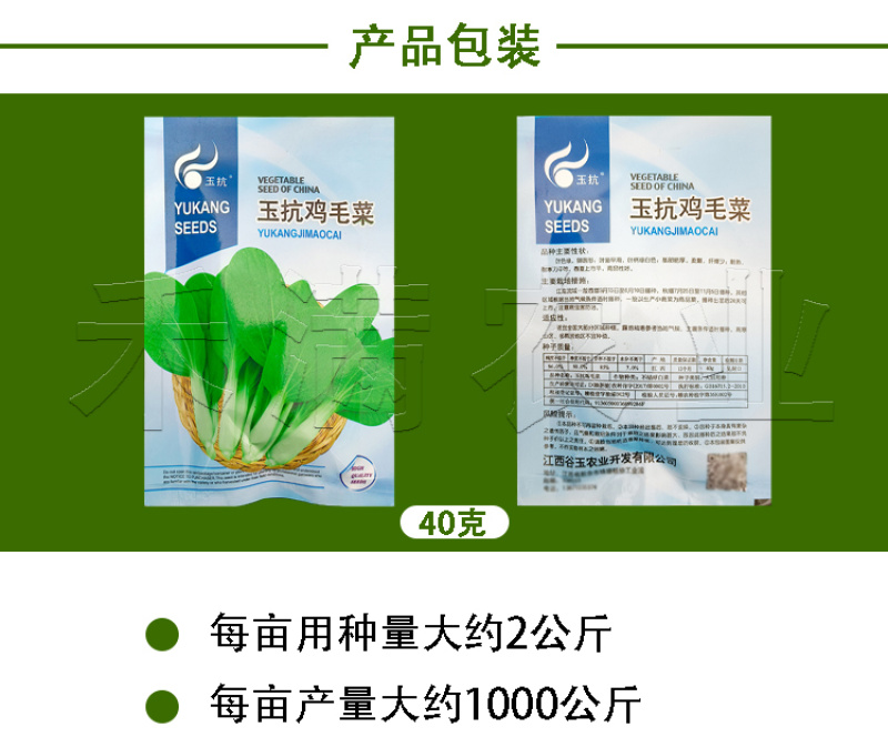 批发23天收高产一年四季小白菜种子阳台盆栽蔬天鸡毛菜种子