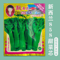 广东甜菜心特甜脆菜苔芯种子绿菜苔耐热寒蔬菜籽菜苔种子
