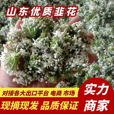 【韭花】大量供应对接全国市场电商商超可视频看货
