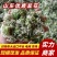 【韭花】大量供应对接全国市场电商商超可视频看货