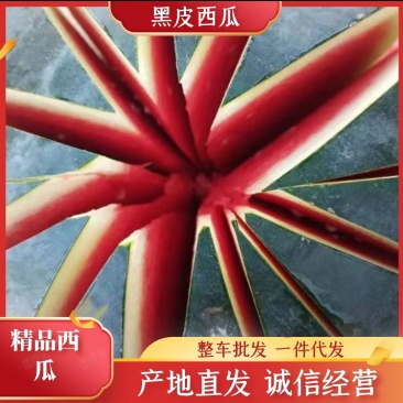 精品西瓜湖北黑皮无籽西瓜货源充足量大从优欢迎咨询