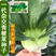 基地专用夏季高产青梗菜种子好吃耐热生长快叶色鸡毛菜种子