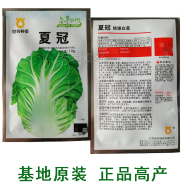 正品基地夏季专播夏冠结球大白菜种子耐热耐湿绿白菜种籽蔬菜