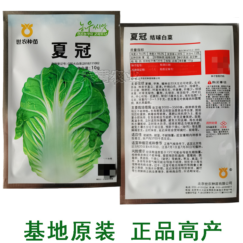 正品基地夏季专播夏冠结球大白菜种子耐热耐湿绿白菜种籽蔬菜