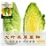 基地优品皇妃娃娃菜种籽黄心娃娃菜小白菜种优质小白菜种子