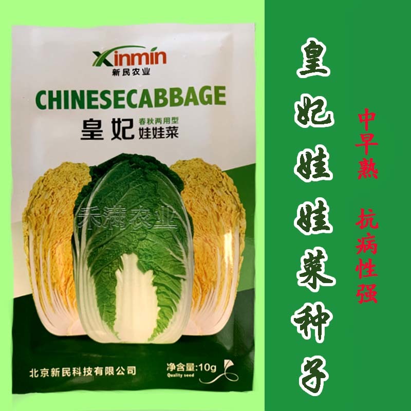 基地优品皇妃娃娃菜种籽黄心娃娃菜小白菜种优质小白菜种子