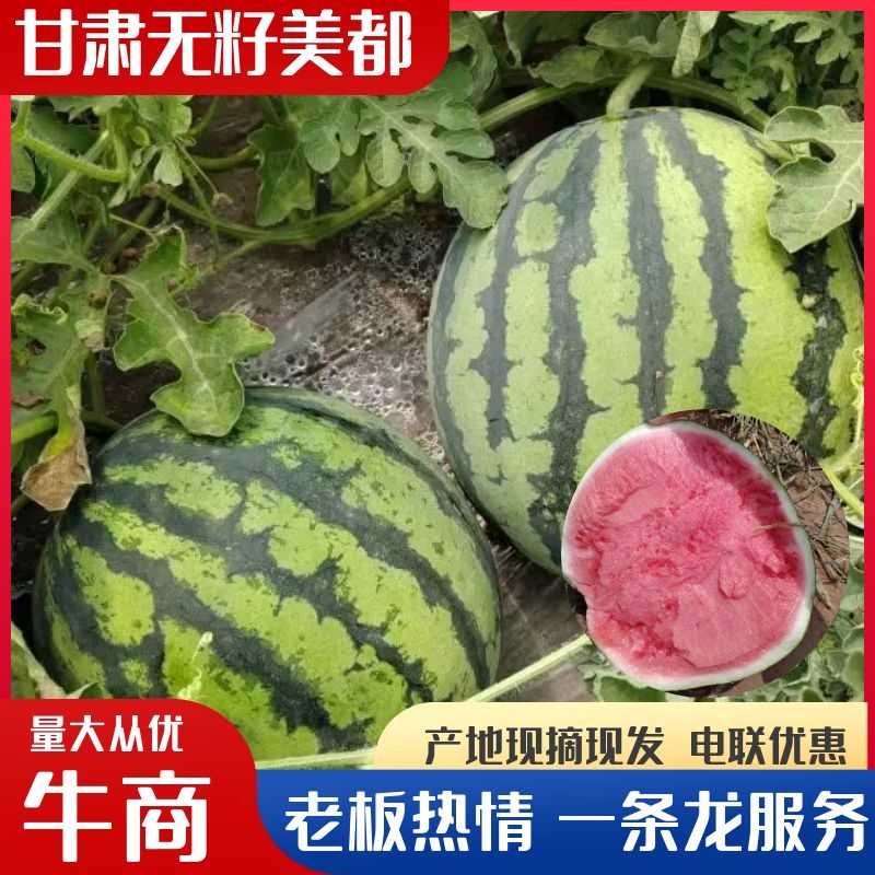 [美都西瓜批发]甘肃平凉泾川县西瓜 1.00元/斤无籽美都西瓜， _ 一亩田