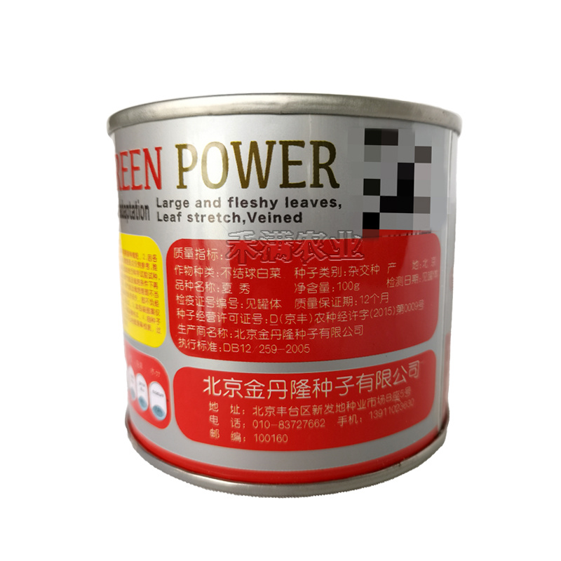 夏季专用上海青种子青梗菜种籽耐抽苔小油菜鸡毛菜种子