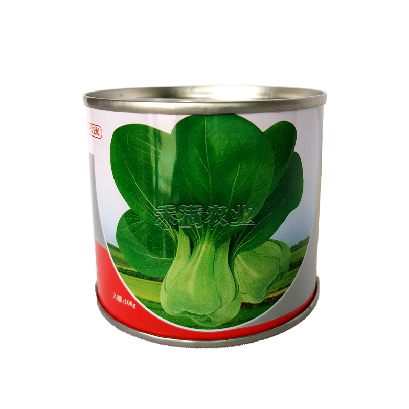 夏季专用上海青种子青梗菜种籽耐抽苔小油菜鸡毛菜种子