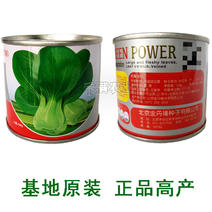 夏季专用上海青种子青梗菜种籽耐抽苔小油菜鸡毛菜种子