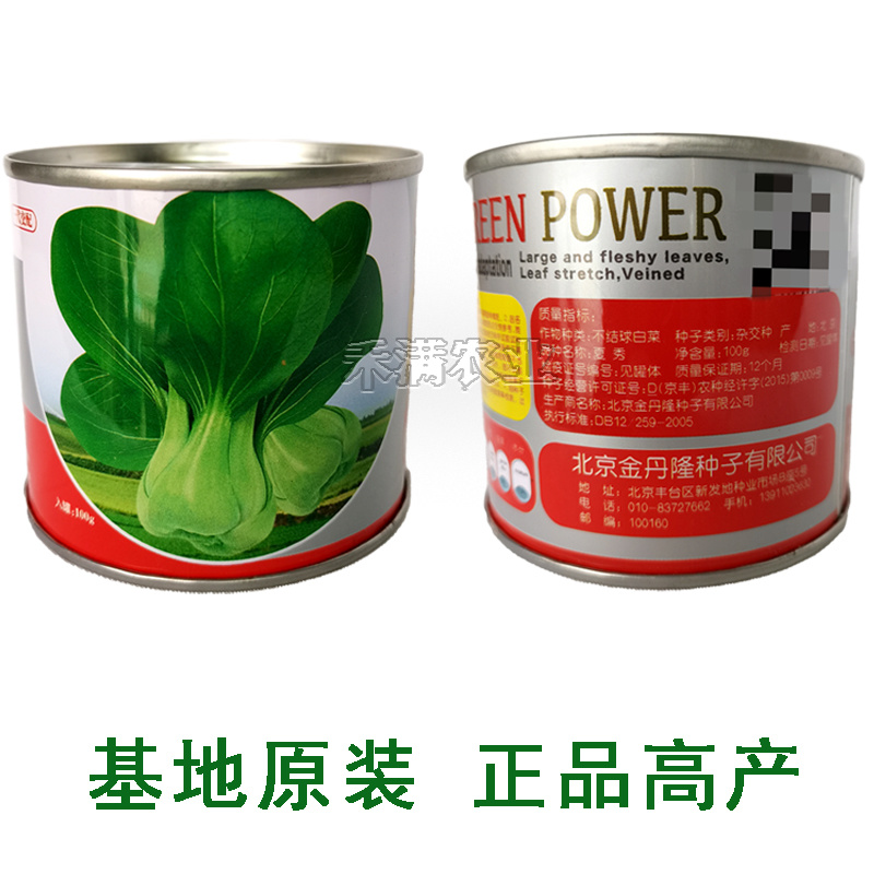 夏季专用上海青种子青梗菜种籽耐抽苔小油菜鸡毛菜种子