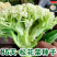 雪丰85天花菜种子有机花菜种子花椰菜高产抗寒中熟菜花种子